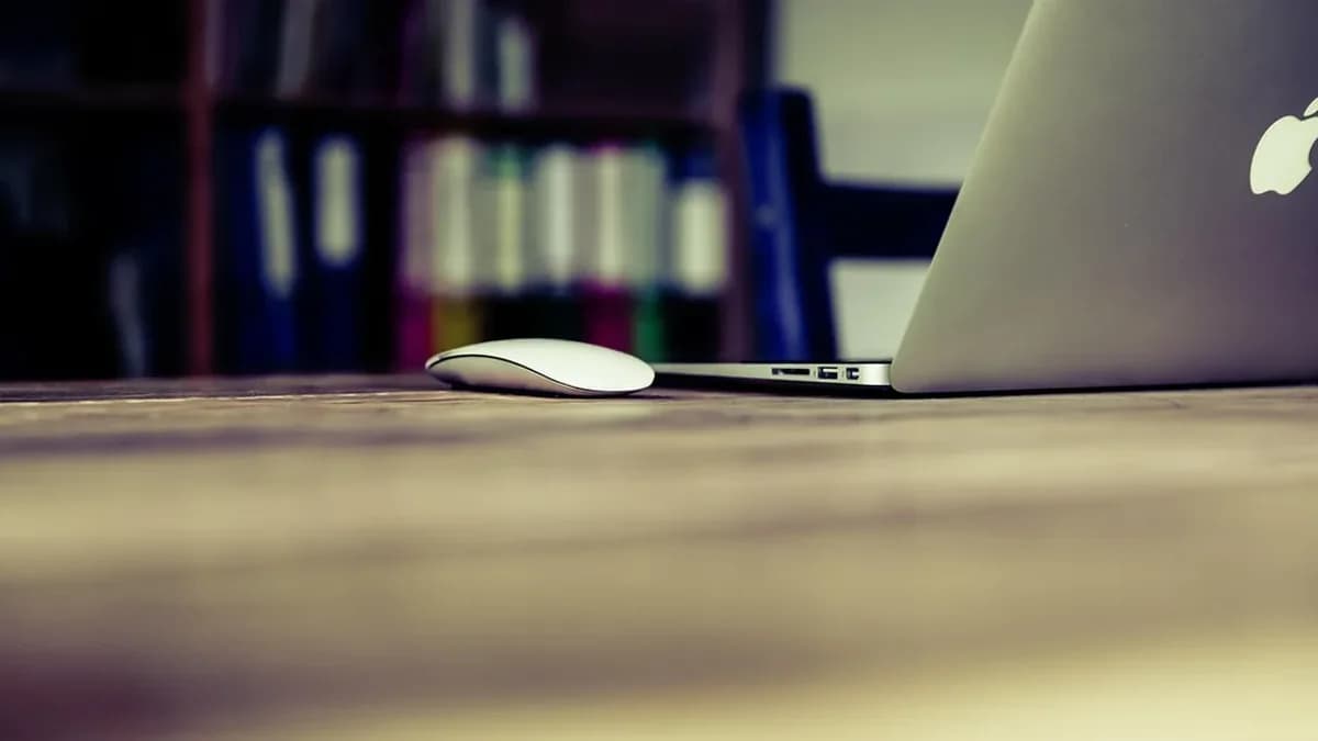 Como colocar trabalho autônomo no currículo: exemplos práticos